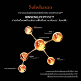 Concentrated Ginseng Rejuvenating Cream Rich 50ML/30ML