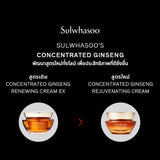 New! Concentrated Ginseng Rejuvenating Cream 50ML/30ML