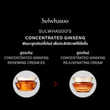 New! Concentrated Ginseng Rejuvenating Cream 50ML/30ML