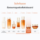 New! Concentrated Ginseng Rejuvenating Eye Cream 15ML