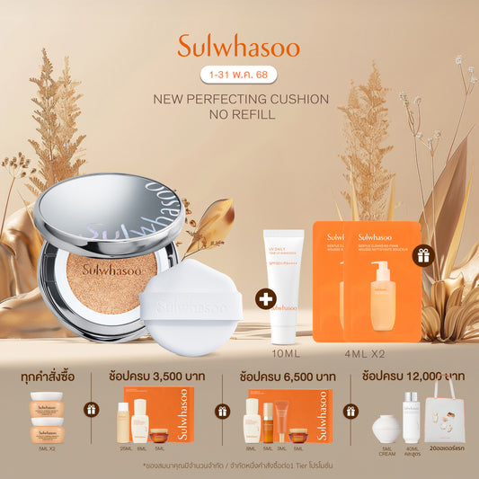 Perfecting Cushion Airy (15g + Refill)
