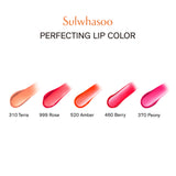 Perfecting Lip Color 3g