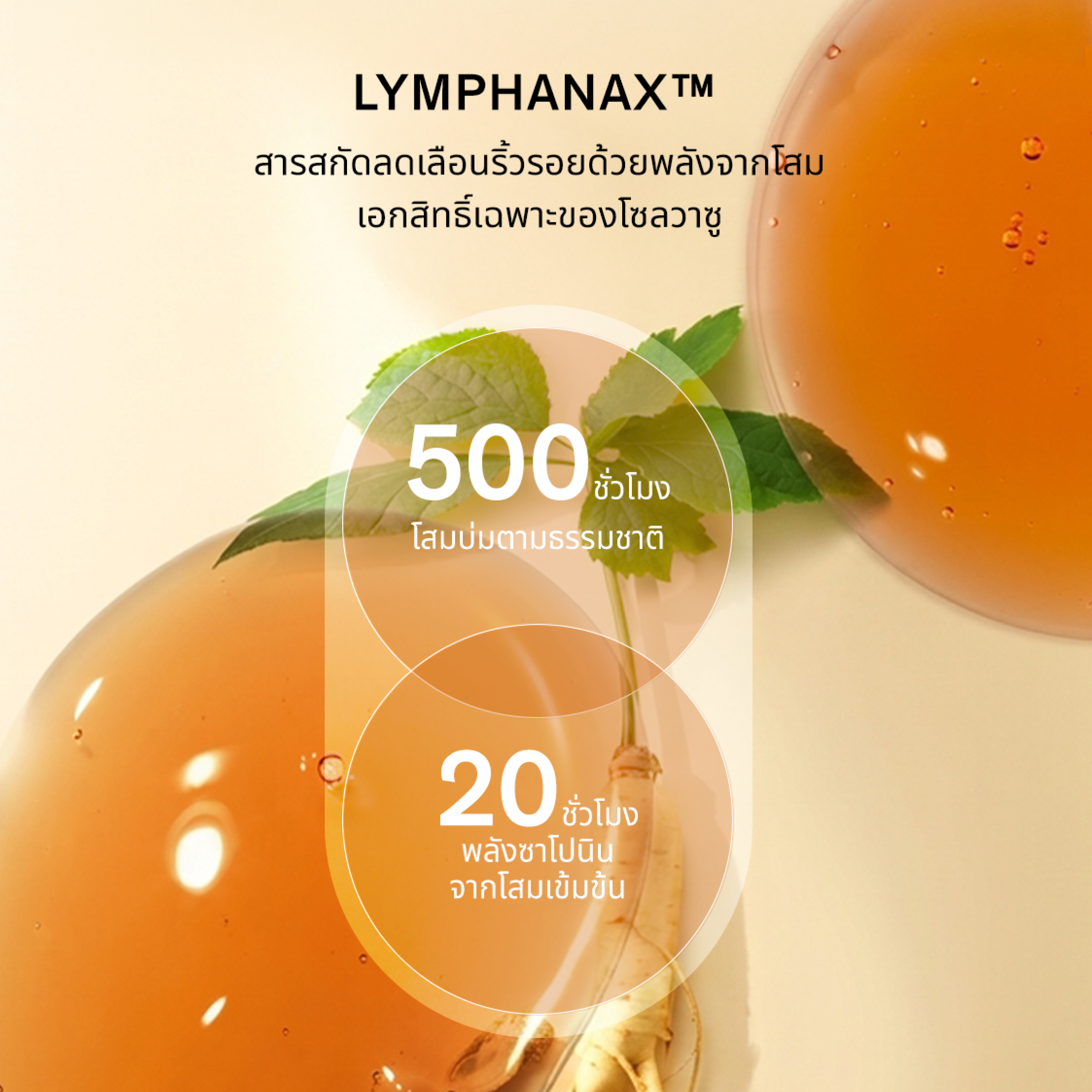 รายละเอียดสินค้า